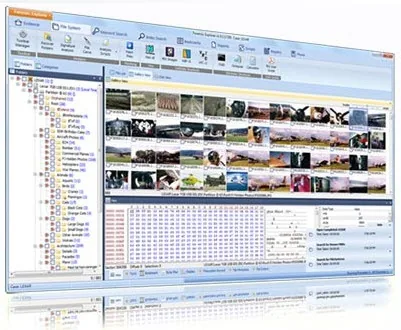 Forensic Explorer ouvert sur le module Système de fichiers : arborescence, galerie de vignettes et vue hexadécimale