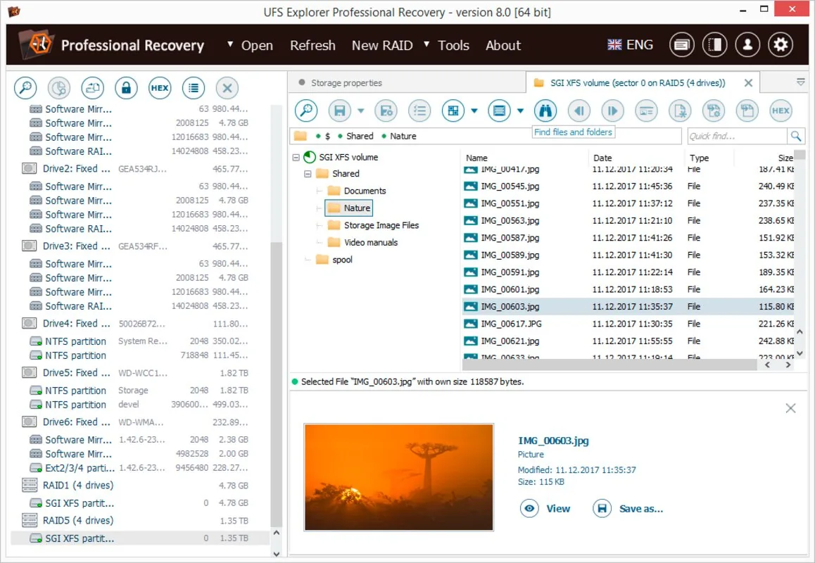 Une photo récupérée sur un volume SGI XFS, prévisualisée dans UFS Explorer